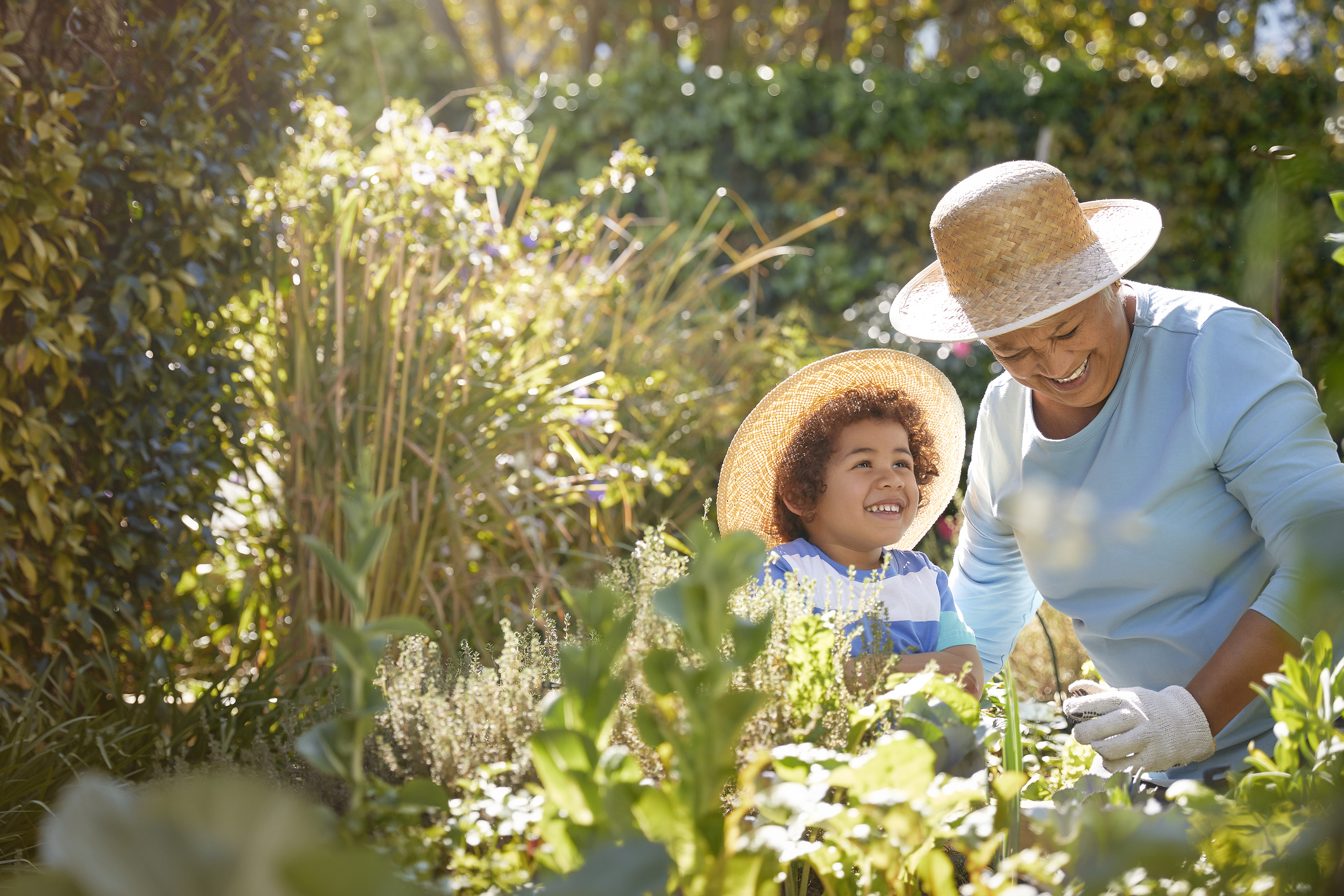 Grandmother and child gardening outdoors